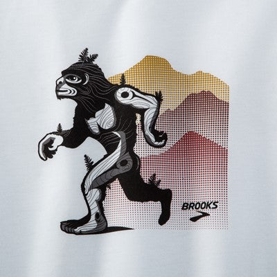 Distance Graphic Long Sleeve (Sasquatch)